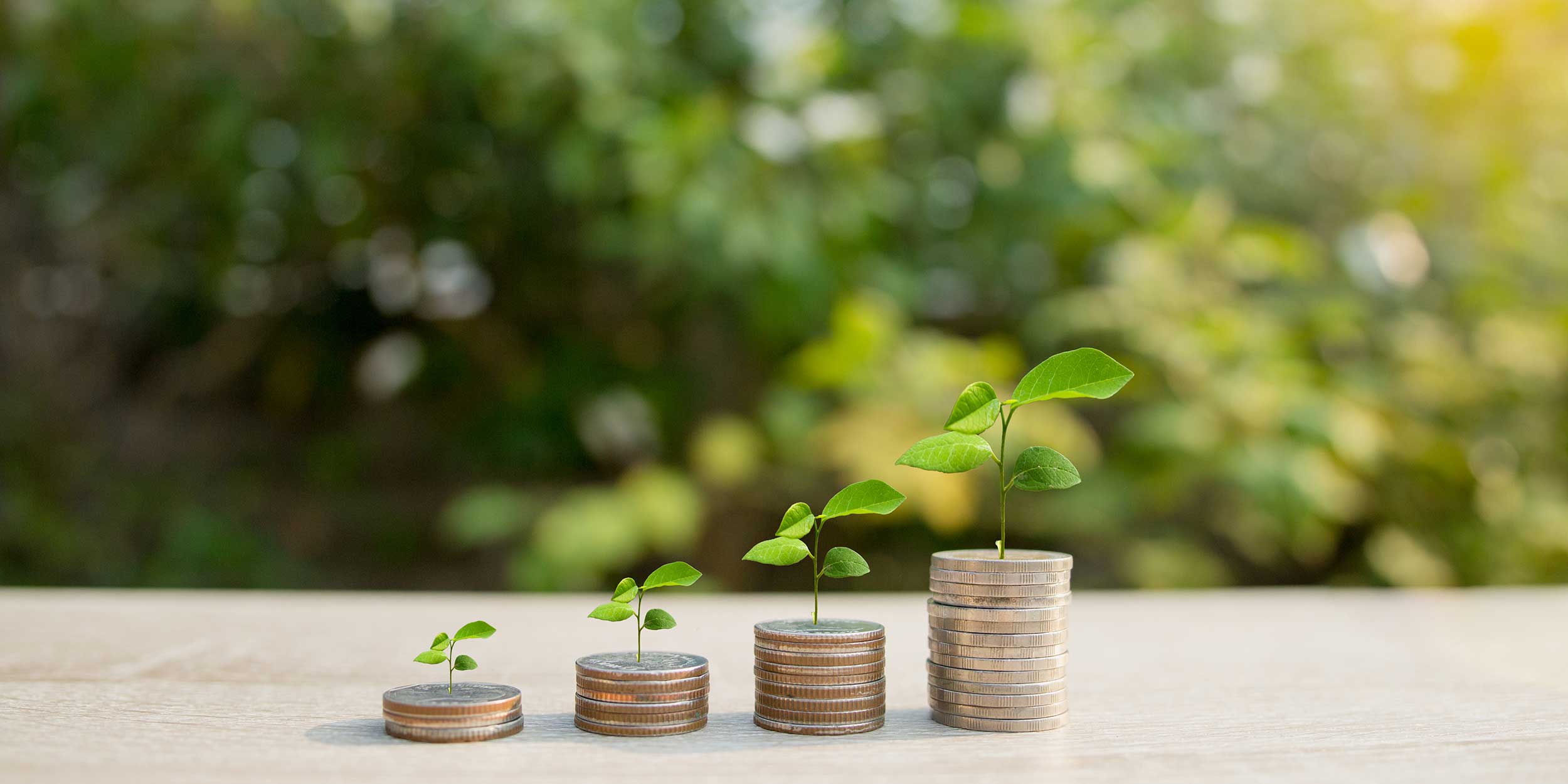 Campaign Banner  EPAP