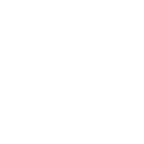 US Dollar Mastercard Debit Card