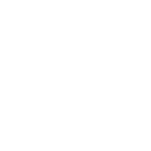 US Dollar Mastercard Debit Card