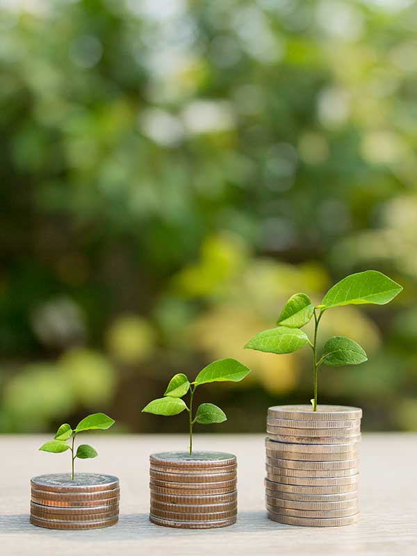 Senior Management Team