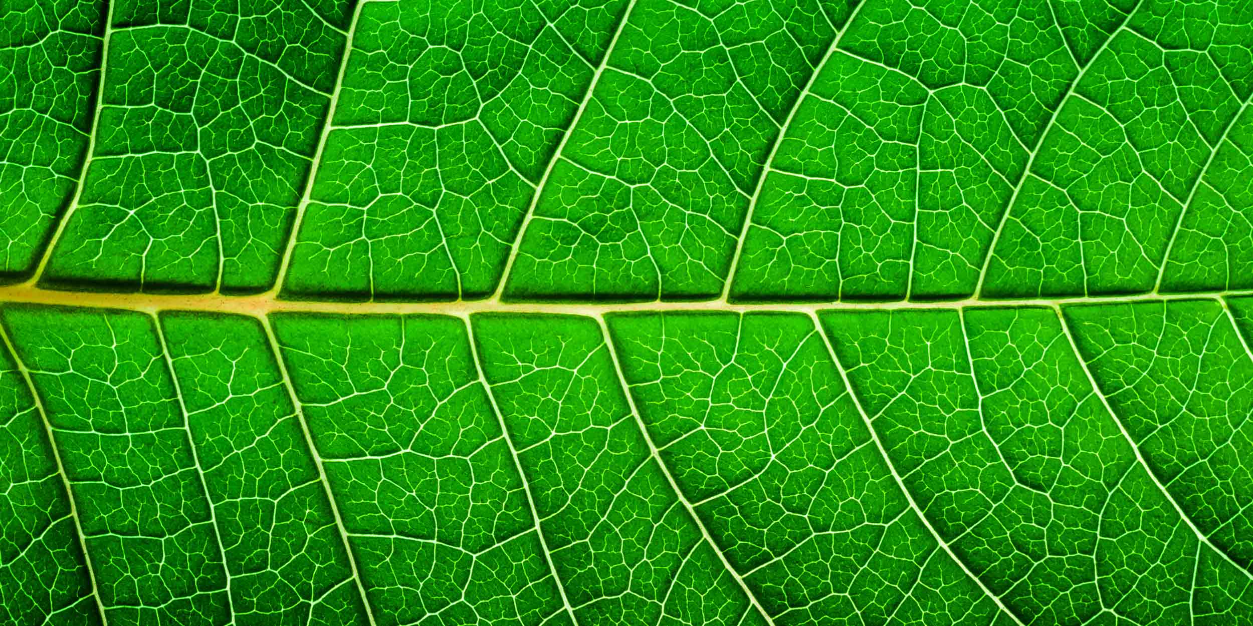 محور (2) العمليات المسؤولة