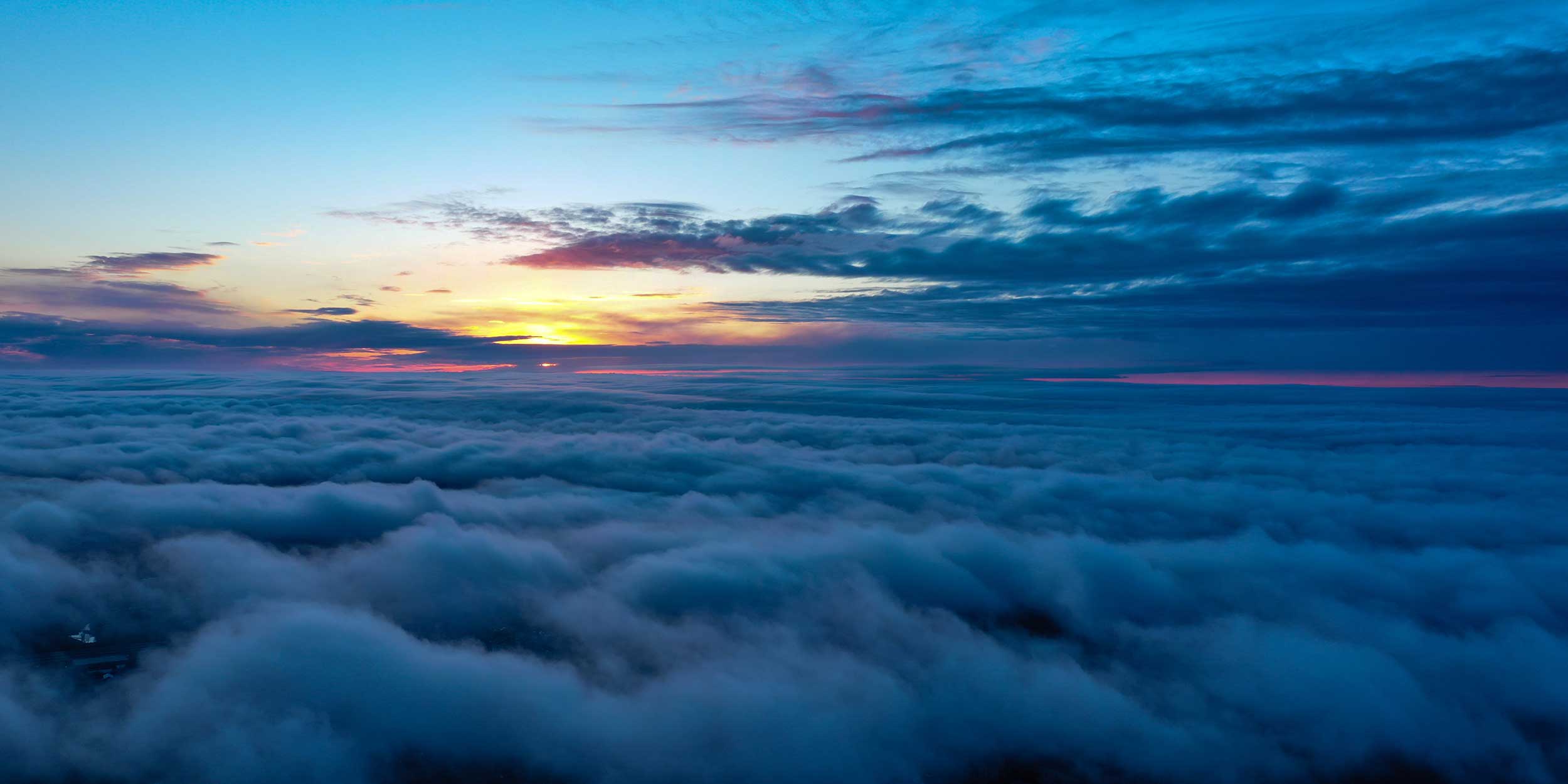 Driving Green Finance and Sustainability