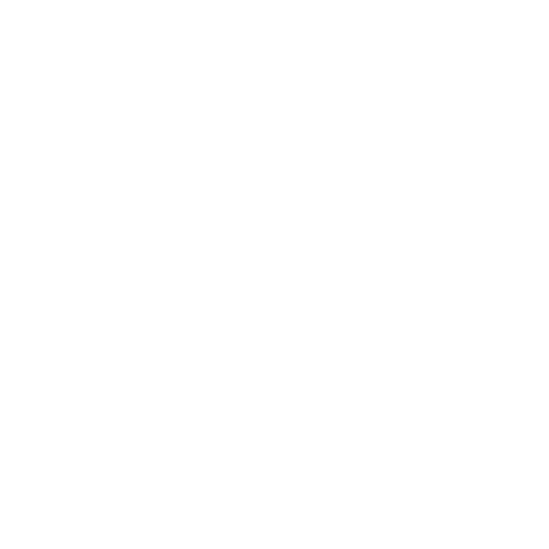 US Dollar Mastercard Debit Card