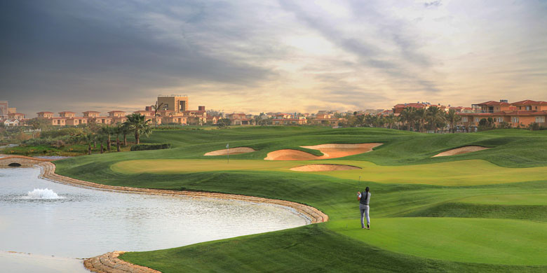 Campaign Banner  TMG