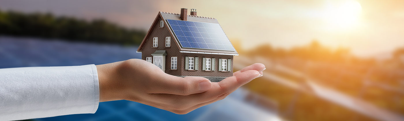 Egypt Solar Loan Panel