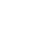 Premium Car Rentals